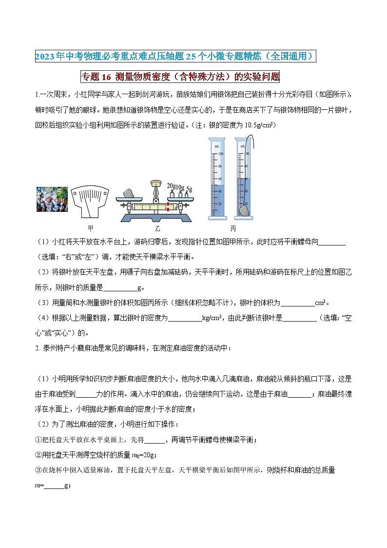中考物理必考重难点压轴专题精炼(高分突破)专题16测量物质密度(含特殊方法)的实验问题(原卷版+解析)01