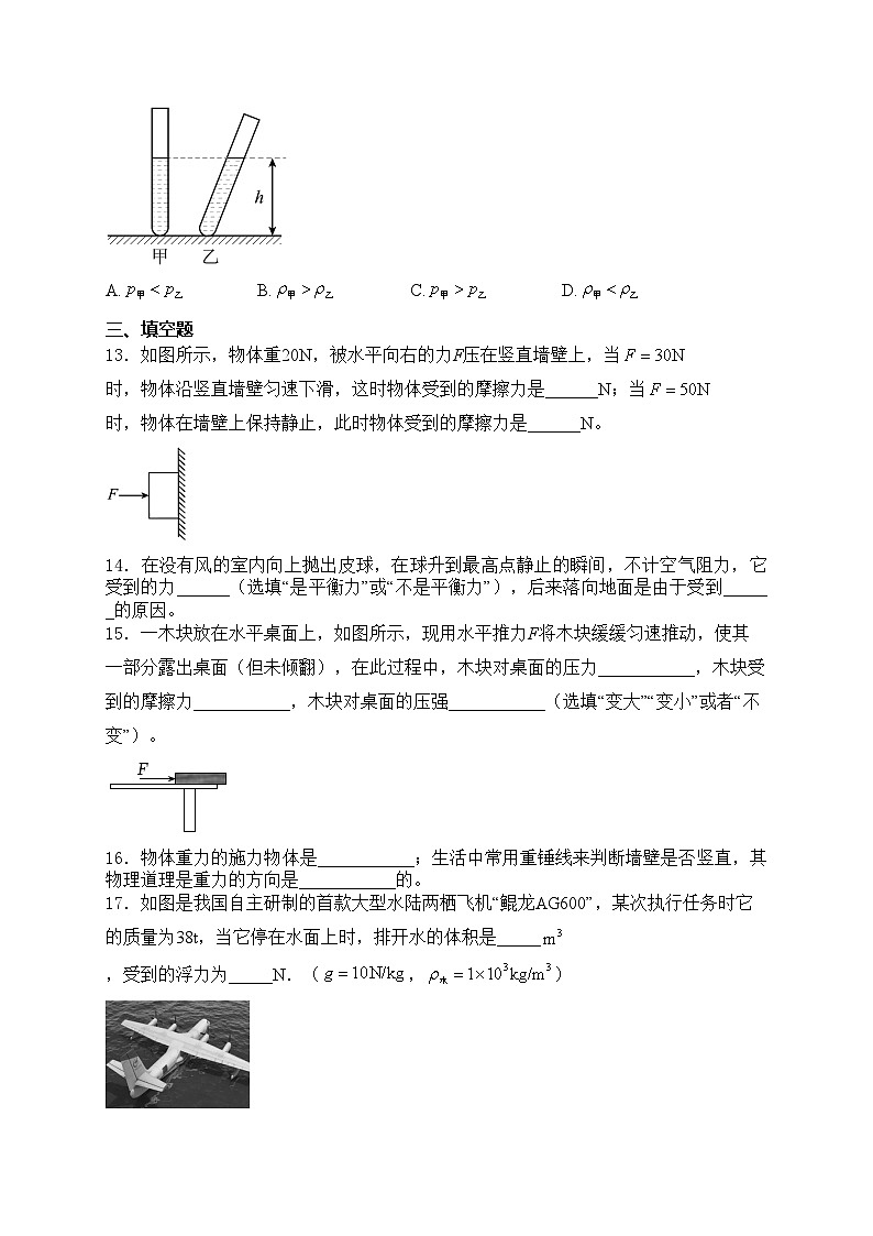 湖南省长沙市宁乡市西部乡镇2023-2024学年八年级下学期期中考试物理试卷(含答案)第3页