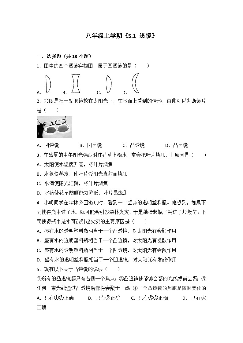 2024年初中物理同步练习《5.1+透镜》第1页