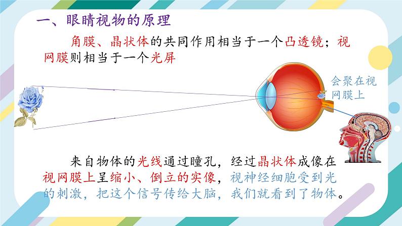 沪科版初中物理八年级全一册 《4.5 科学探究：凸透镜成像》PPT第5页