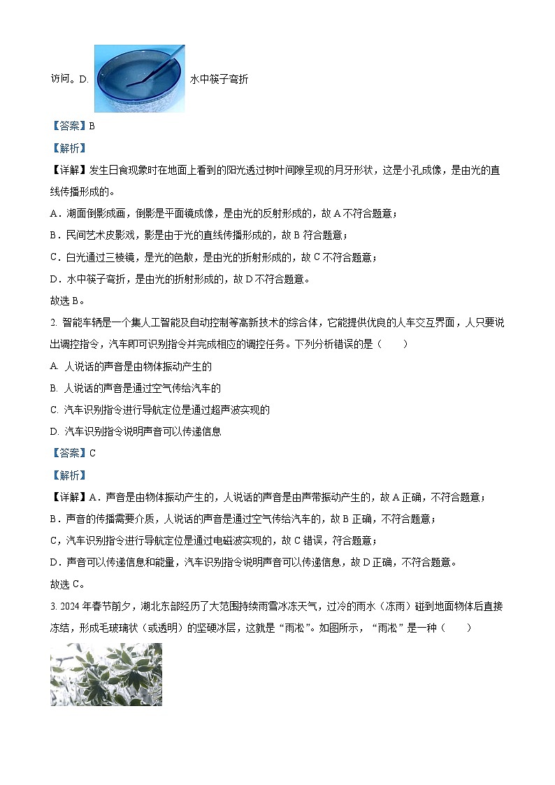 2024年湖北省武汉市黄陂区中考三模物理 试题第2页