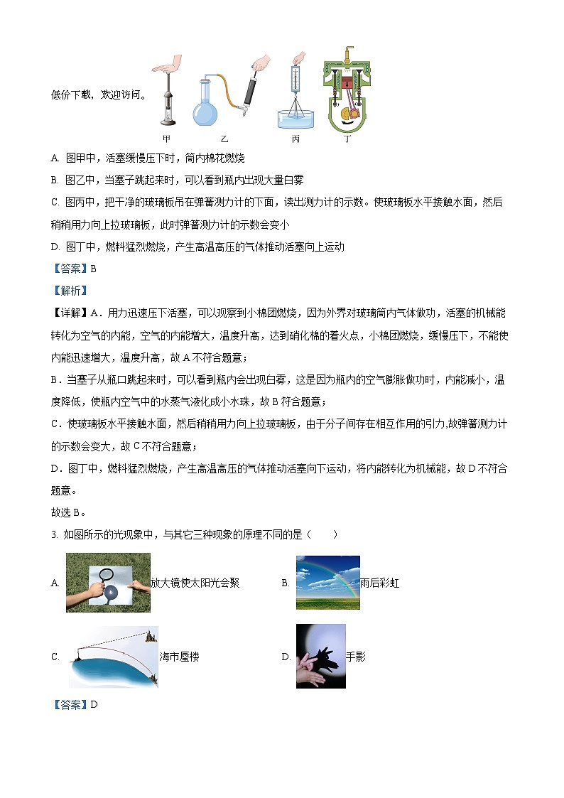 2024年湖北省咸宁市2023—2024学年中考适应性检测物理试题02