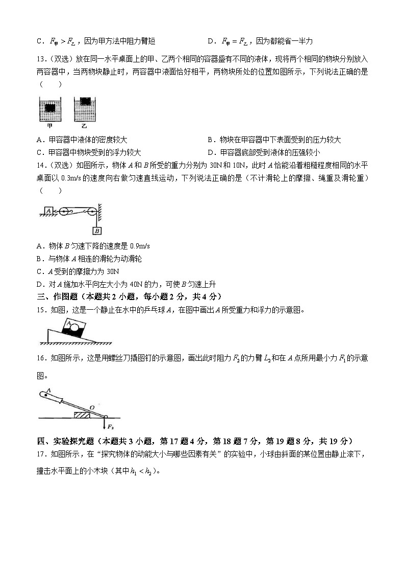 河南省周口市商水县商水县希望初级中学2023-2024学年八年级下学期6月期末物理试题第3页