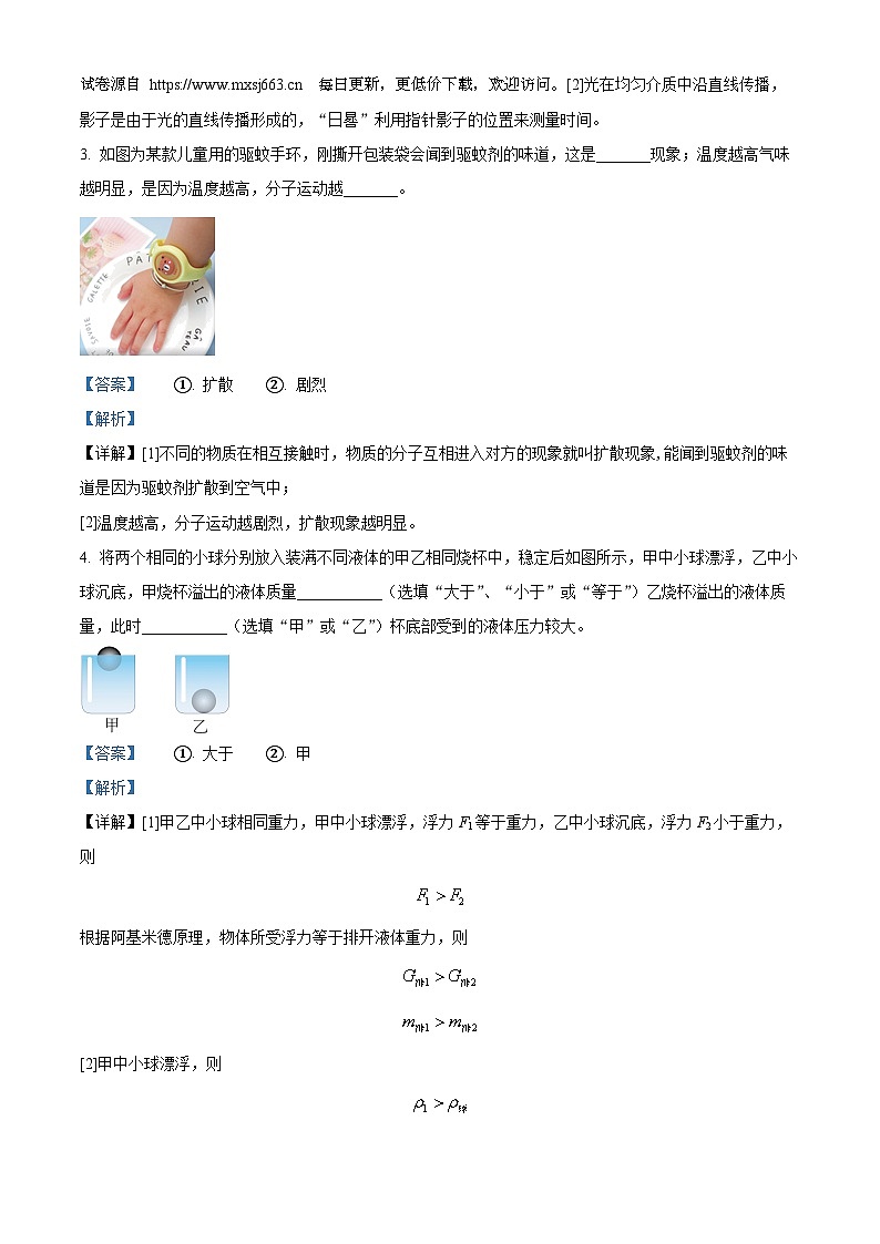 2024年河南省周口市郸城县两校联考中考二模物理试题02
