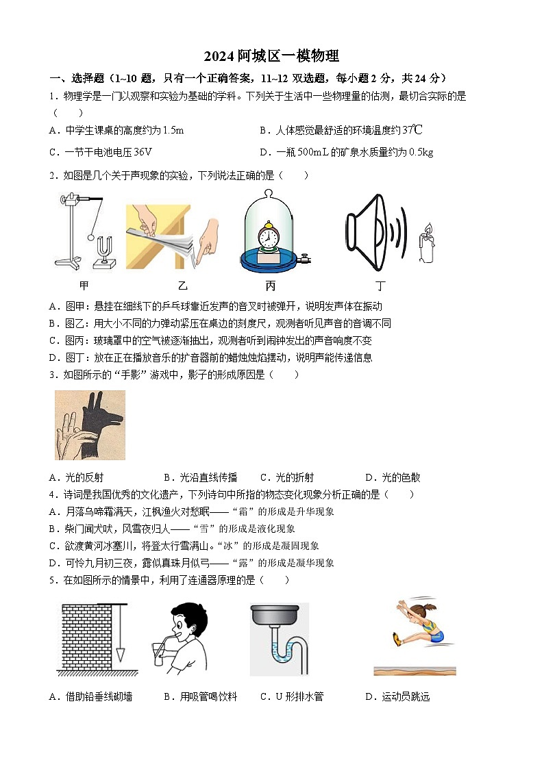 2024黑龙江省哈尔滨市阿城区（中考一模）物理试题01