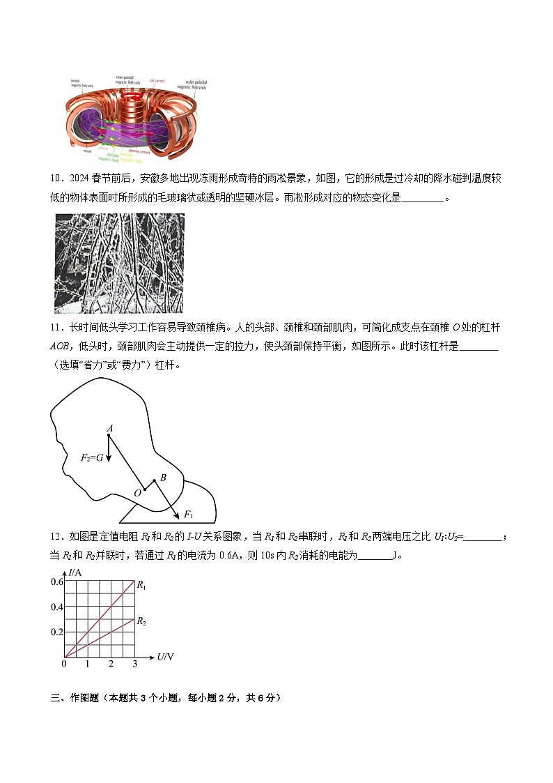 物理（贵州卷）（考试版A4）第3页