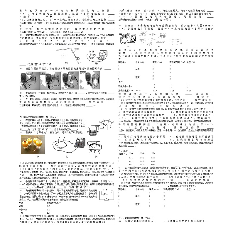 中考物理电源及其能量转换专项练习第2页