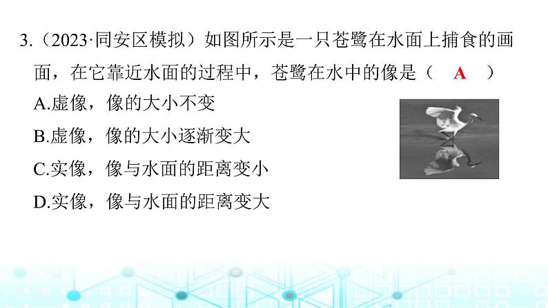 2024年中考物理分层复习光现象课件06