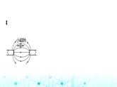 2024中考物理三轮突破11电磁作图课件