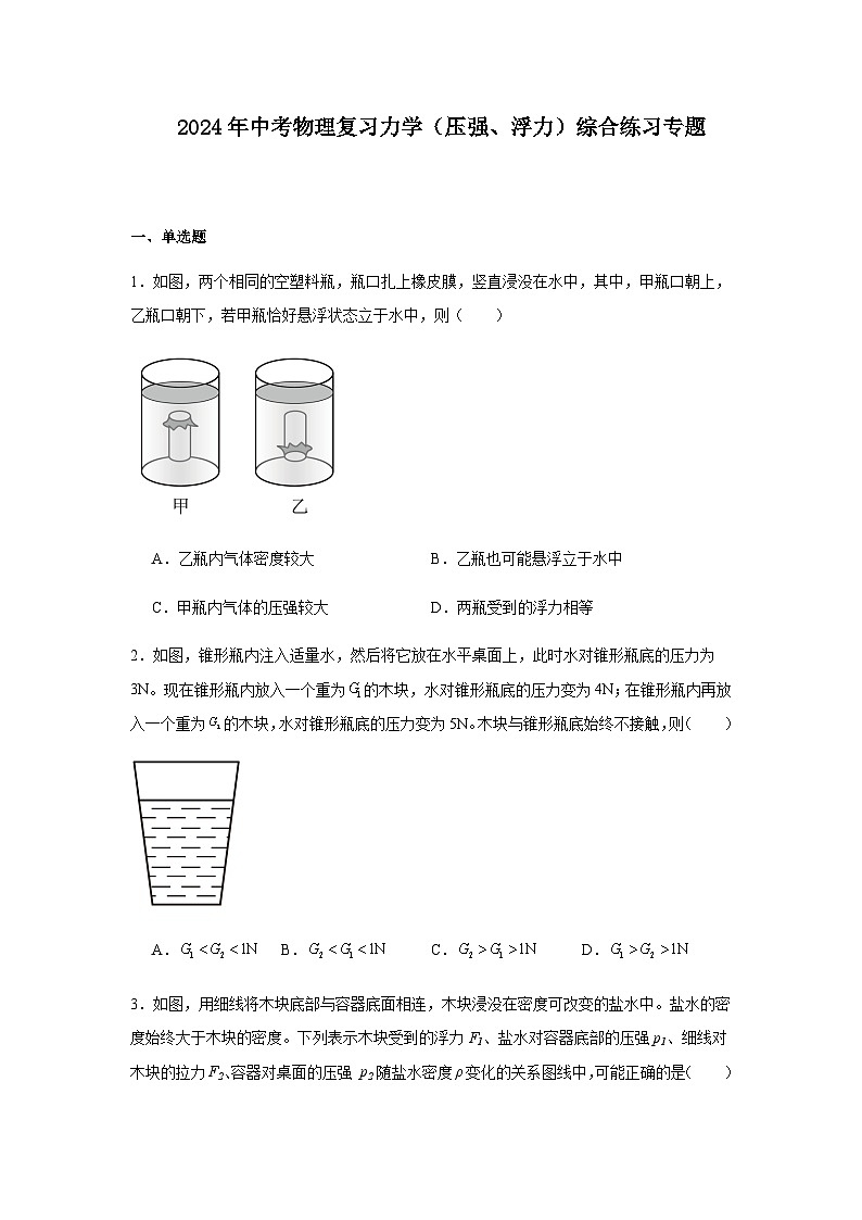 2024年中考物理复习力学（压强、浮力）综合练习专题含答案第1页