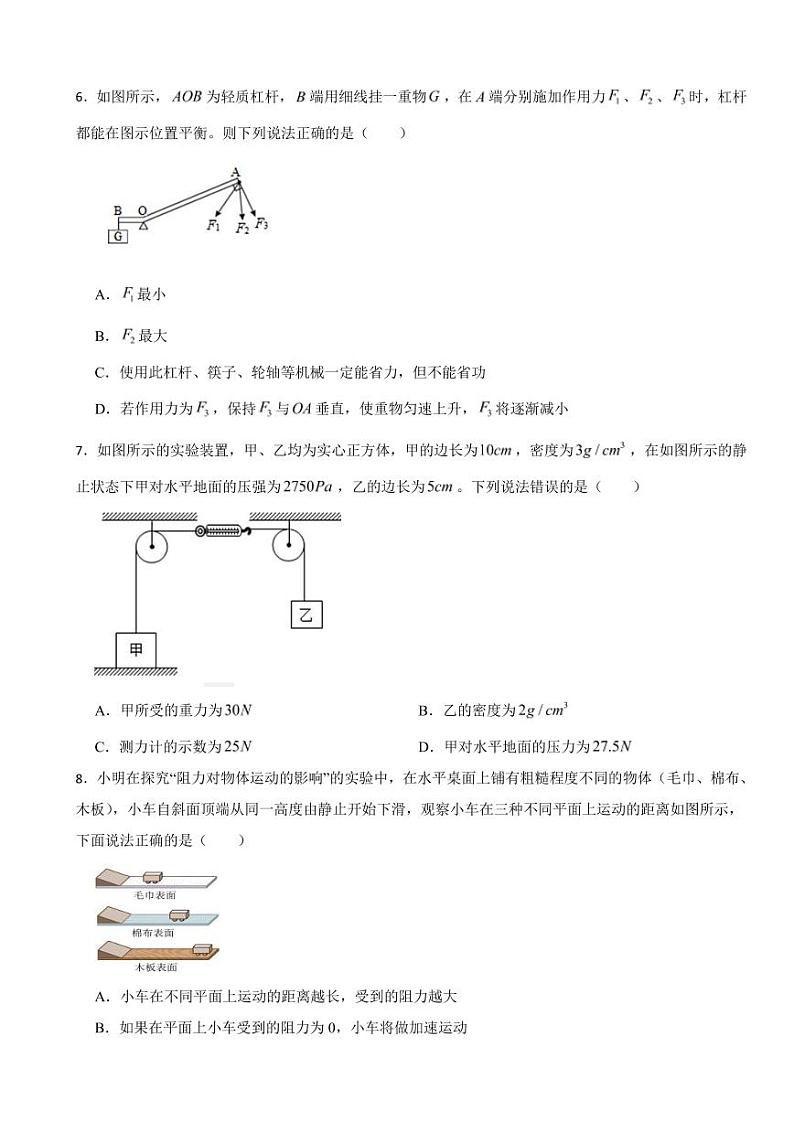 安徽省六安市2024年八年级（下）期末物理试卷附参考答案03