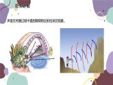 教科版物理八年級(jí)上冊(cè) 第三章 4.聲與現(xiàn)代科技課件
