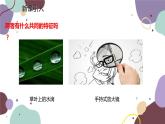 教科版物理八年级上册 第四章 5.科学探究：凸透镜成像  第一课时 认识透镜课件