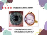 教科版物理八年级上册 第四章 6.神奇的眼睛课件