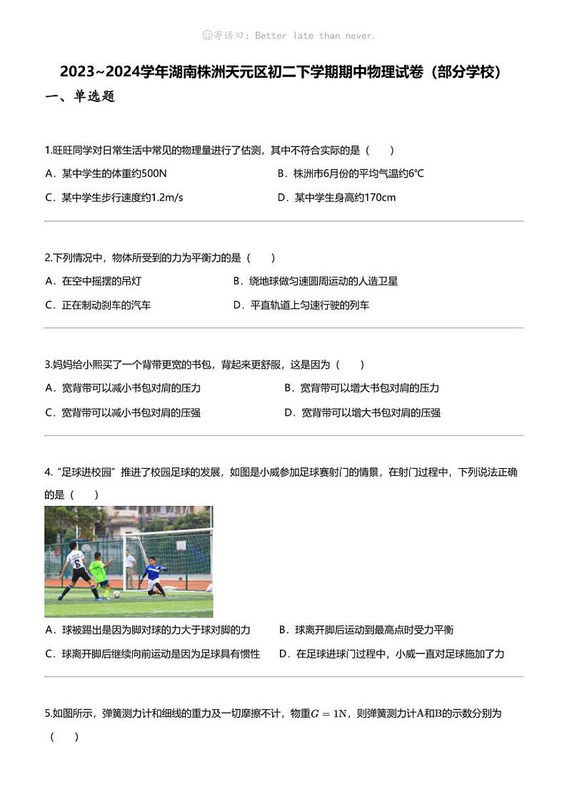 [物理]2023_2024学年湖南株洲天元区初二下学期期中物理试卷（部分学校）第1页