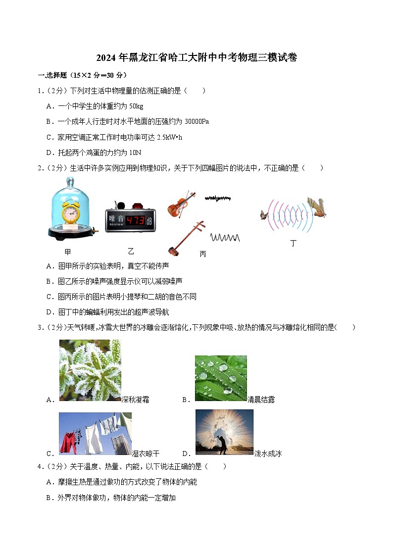 2024年黑龙江省哈工大附中中考物理三模试卷第1页