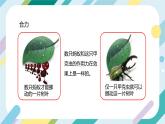 【核心素养目标】沪科版+初中物理+八年级全一册 7.2  力的合成 课件+教案+练习（含教学反思和答案）