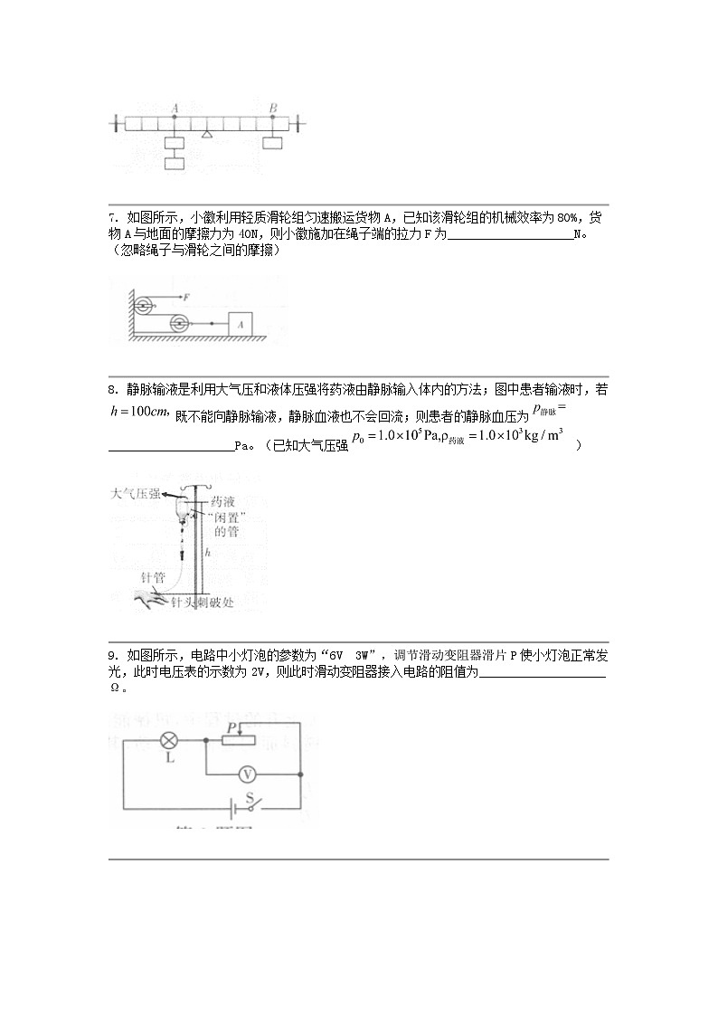 [物理]安徽省阜阳市临泉县临泉县中学联考2023-2024学年九年级下学期期中试题第2页