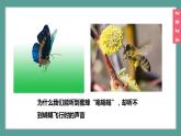 （2024）苏科版物理八年级上册1-4人耳听不到的声音PPT课件