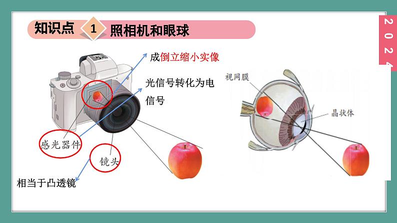 （2024）苏科版物理八年级上册3-4透镜的应用PPT课件06