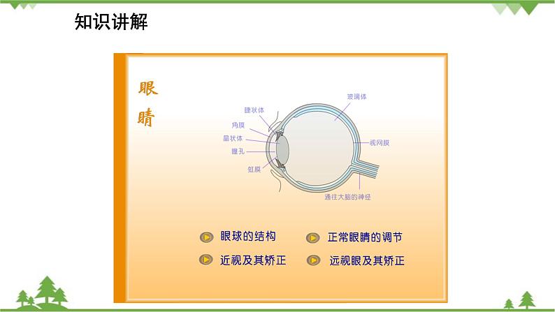 人教版物理八年级上册 第5章 第4节 眼睛和眼镜课件05