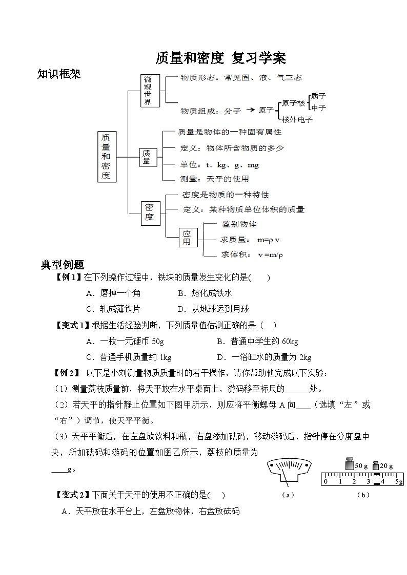 中考专项复习学案   质量和密度第1页