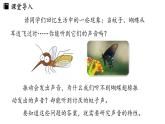 2.2声音的特性  课件--2024-2025学年人教版物理八年级上册