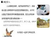 2.3声的利用  课件--2024-2025学年人教版物理八年级上册