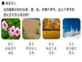 3.1温度  课件--2024-2025学年人教版物理八年级上册