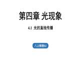 4.1光的直线传播 课件--2024-2025学年人教版物理八年级上册