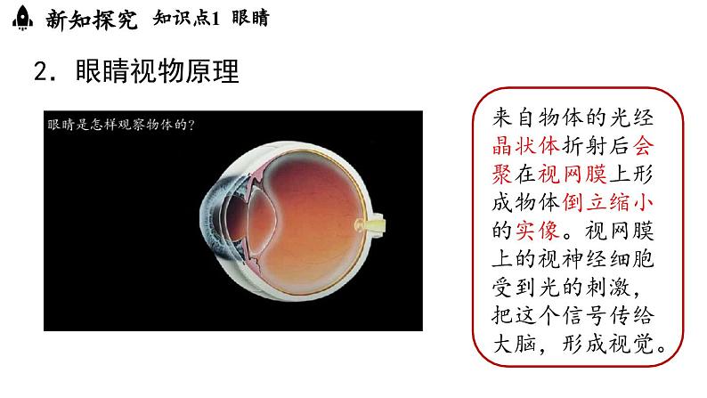 5.4眼睛和眼镜 课件--2024-2025学年人教版物理八年级上册05