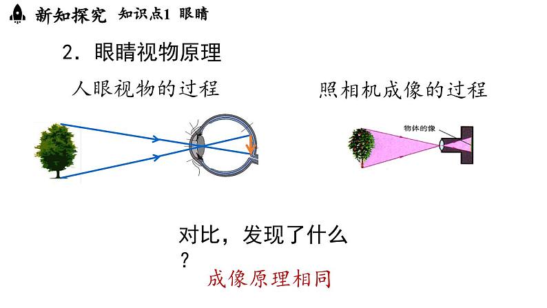 5.4眼睛和眼镜 课件--2024-2025学年人教版物理八年级上册06