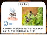 2.2 声音的特性 课件 2024-2025学年 人教版物理八年级上册