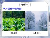 3.1 温度 课件 2024-2025学年 人教版物理八年级上册