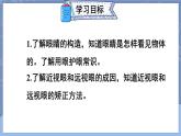 5.4 眼睛和眼镜 课件 2024-2025学年 人教版物理八年级上册