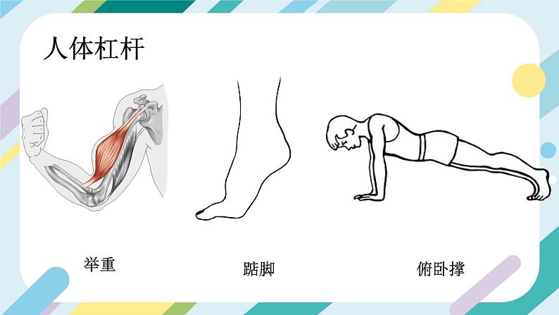 【核心素养目标】沪科版+初中物理+八年级全一册 10.1  科学探究：杠杆的平衡条件 课时1 课件 +教案+练习（含教学反思和答案）06