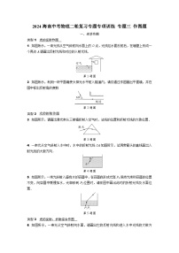 2024海南中考物理二轮复习专题专项训练 专题三 作图题 (含答案)