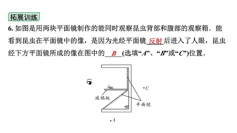 2024海南中考物理二轮重点专题研究 第三讲 第一节  光现象（课件）第8页