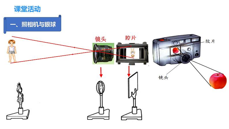 4.4  照相机与眼球  视力的矫正（课件）-2023-2024年八年级上册物理（苏科版）05
