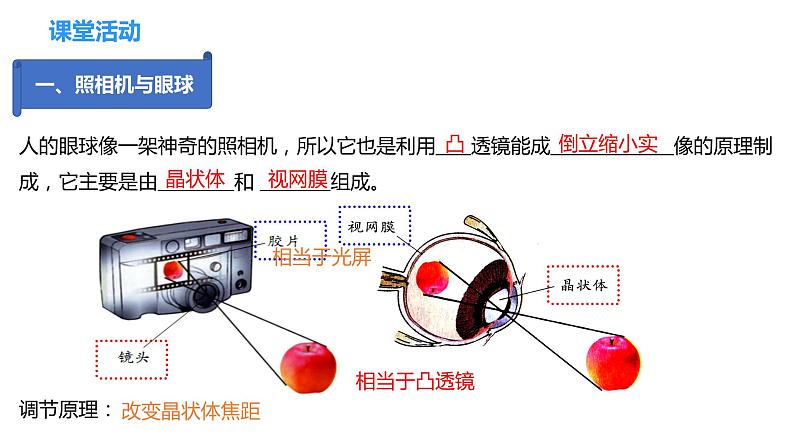 4.4  照相机与眼球  视力的矫正（课件）-2023-2024年八年级上册物理（苏科版）08