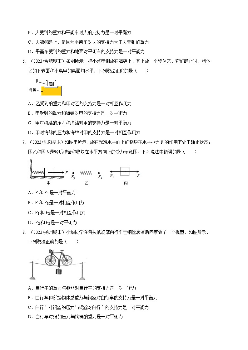 专题03 二力平衡与摩擦力综合分析【三大题型】（原卷版）第3页