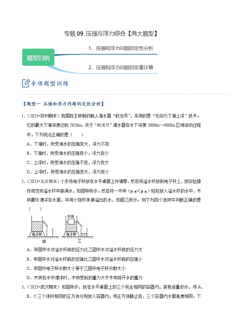 专题09 压强与浮力综合【两大题型】-【好题汇编】备战2023-2024学年八年级物理下学期期末真题分类汇编（人教版）01