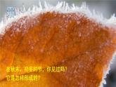 1.4 升华和凝华 课件---2024-2025学年北师大版物理八年级上册