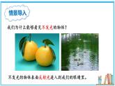 4.2 光的反射 课件---2024-2025学年北师大版物理八年级上册