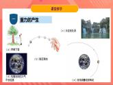 粤沪版八年级物理下册 6.3 《重力》课件+分层练习（原卷+解析卷）