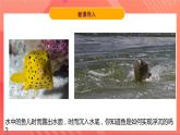 粤沪版八年级物理下册  9.3《研究物体的浮沉条件》 课件+分层练习（原卷+解析卷）
