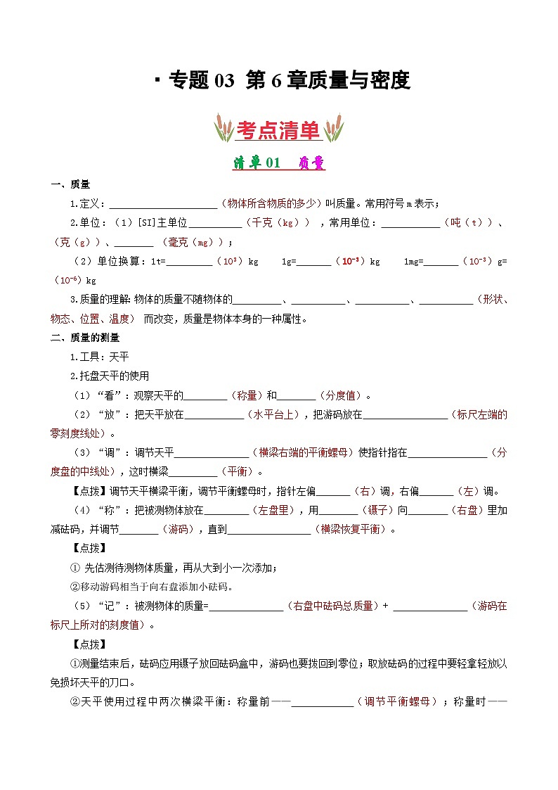 初中物理八年级上册期末考点大串讲 考点清单03 第6章质量与密度（人教版）01