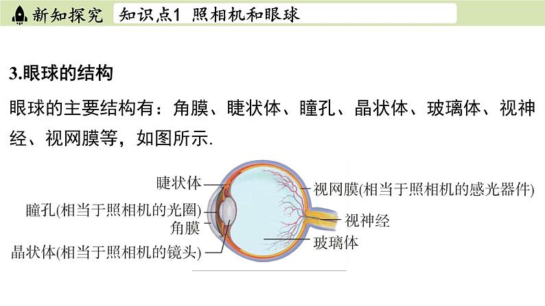 苏科版八年级物理上册课件 第四章 第四节 透镜的应用08