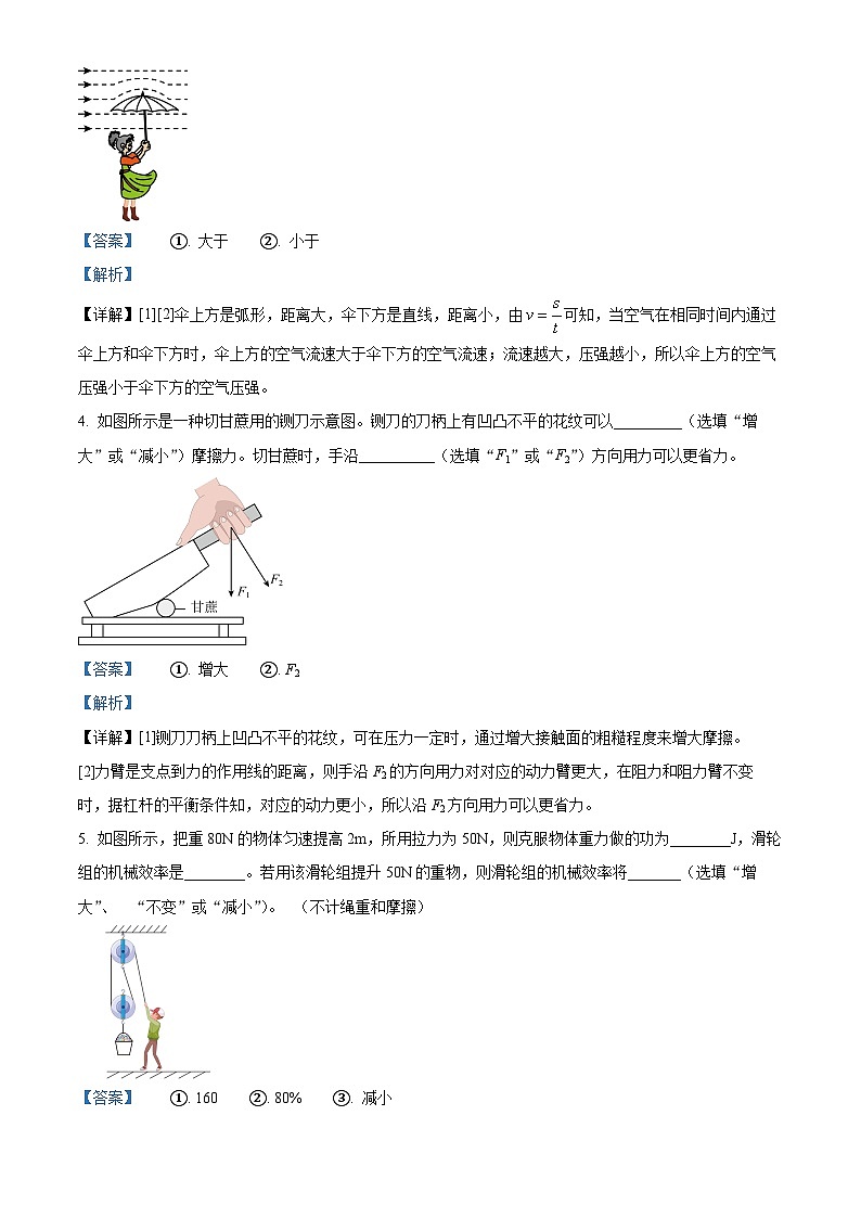 河南省南阳市2023-2024学年八年级下学期期末物理试题（解析版）第2页