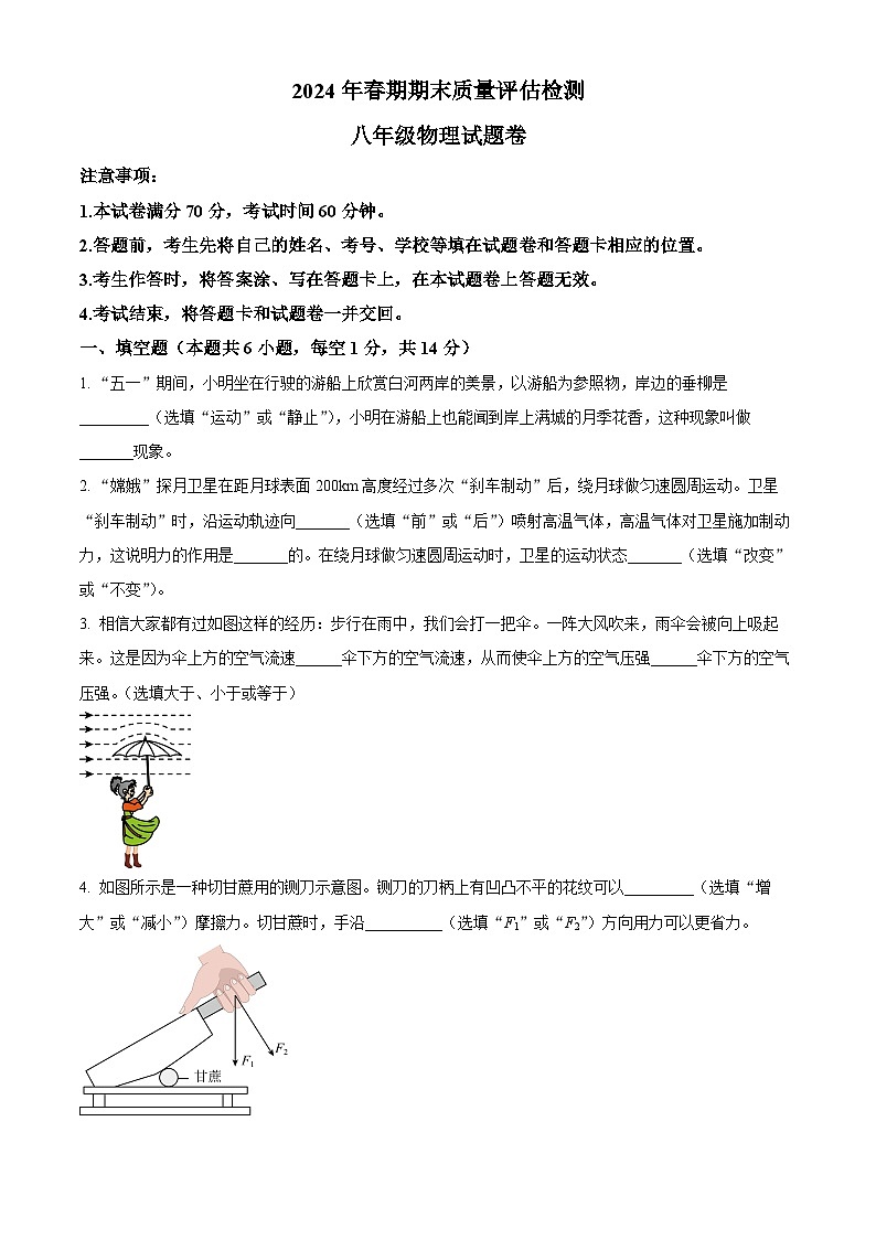河南省南阳市2023-2024学年八年级下学期期末物理试题（原卷版）第1页